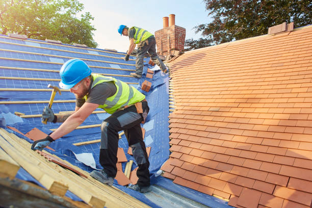 Best Roof Coating and Sealing  in Brookhaven, MS